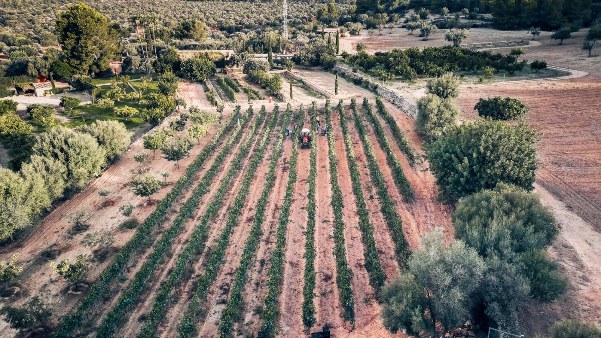 סנטה מריה דל קאמי Finca Es Cabas מראה חיצוני תמונה