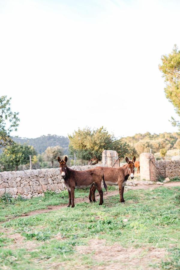 סנטה מריה דל קאמי Finca Es Cabas מראה חיצוני תמונה