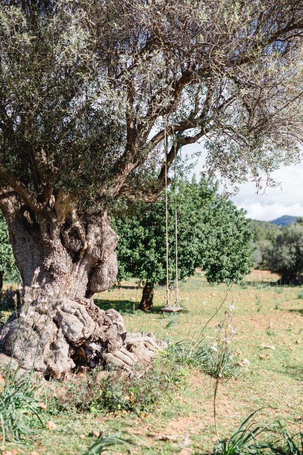 סנטה מריה דל קאמי Finca Es Cabas מראה חיצוני תמונה