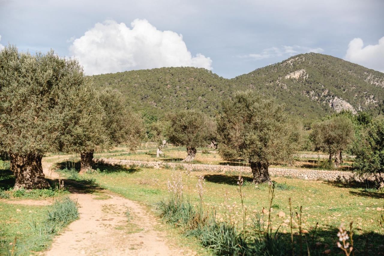 סנטה מריה דל קאמי Finca Es Cabas מראה חיצוני תמונה